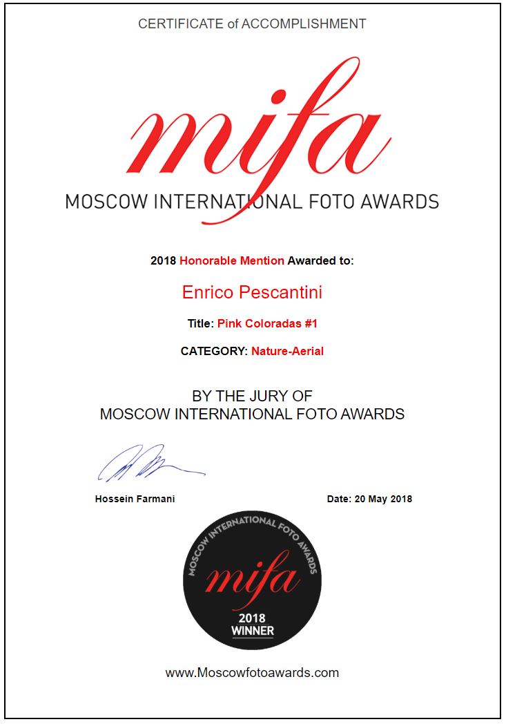 2018 Moscow International Photo Awards Pink coloradas honorable mention