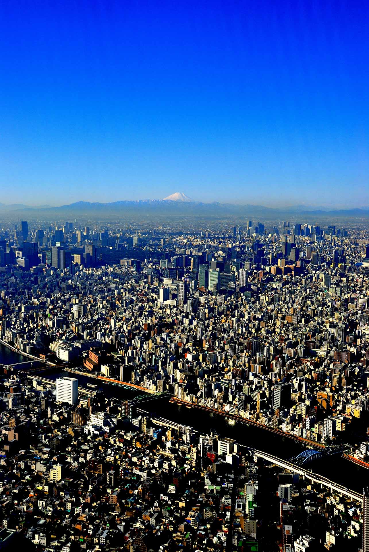 Tokyo, Japan - city and fuji