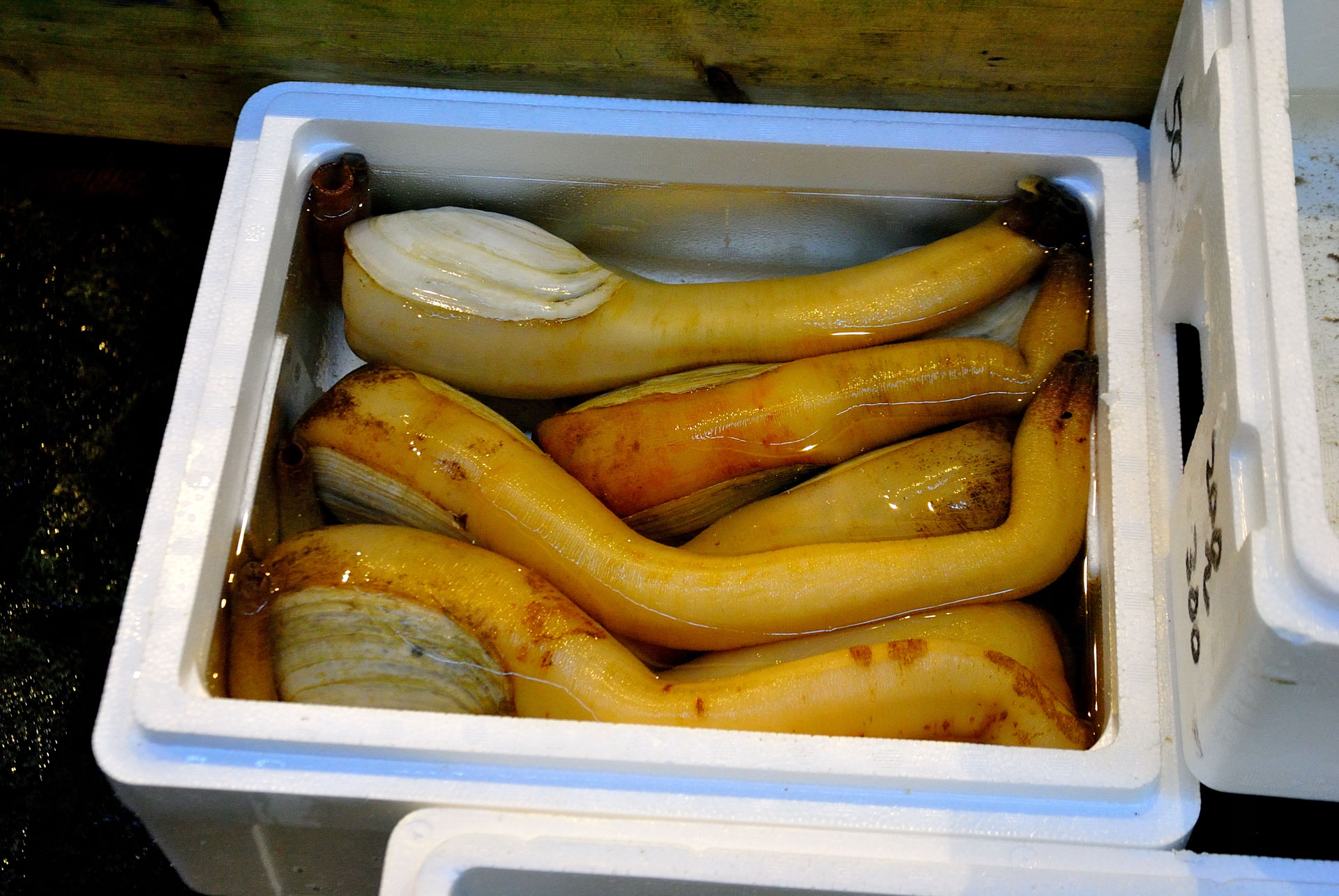 Tokyo, Japan - Fish Market