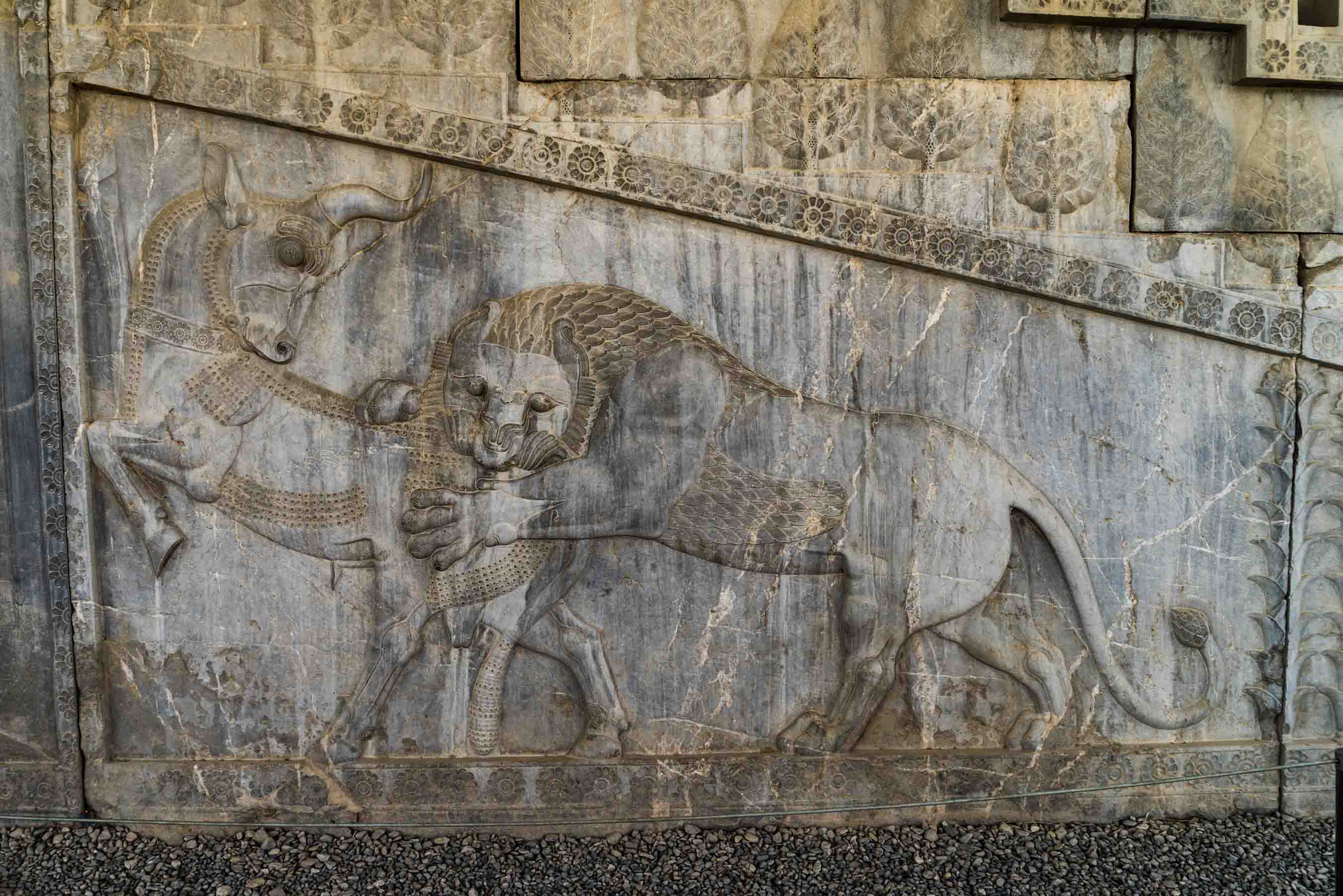 Persepolis Iran - The lion attacking the bull