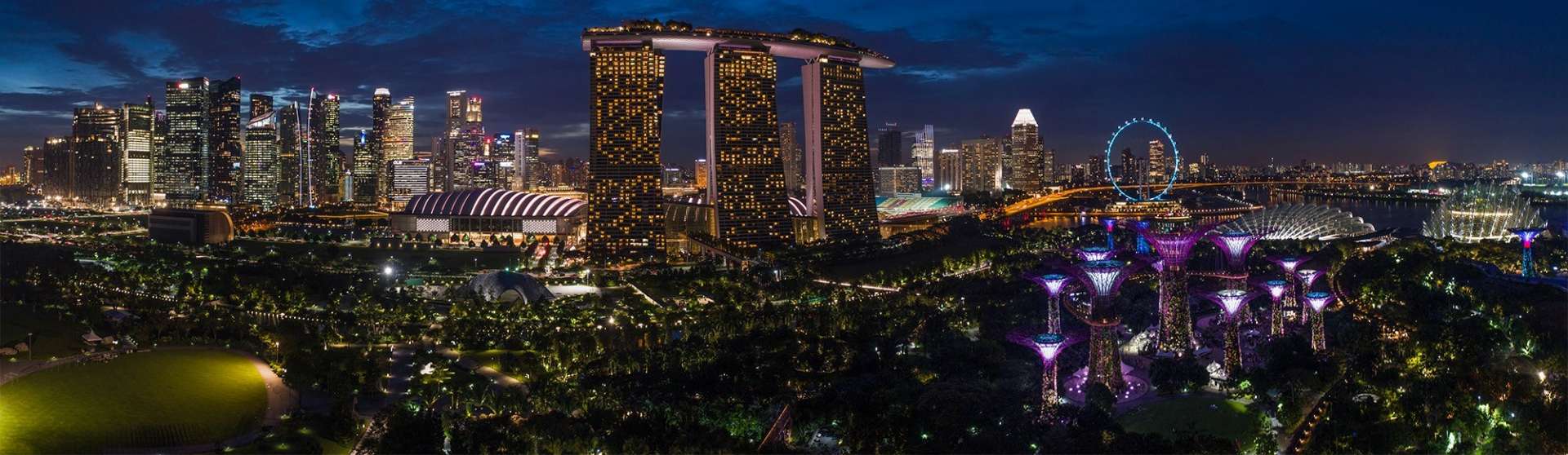 Singapore Pescart Enrico Pescantini Gardens by the Bay Marina Bay Sands nightscape drone