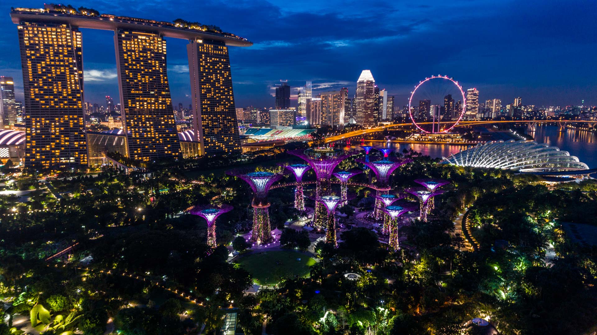 Singapore Pescart Enrico Pescantini Gardens by the Bay Marina Bay Sands nightscape drone 3