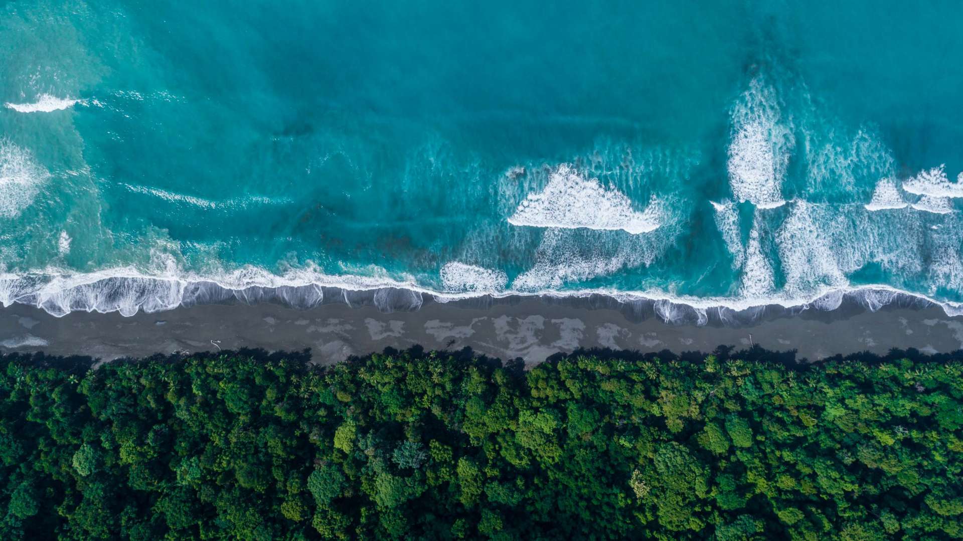 Carate Beach Costa Rica From Above Enrico Pescantini