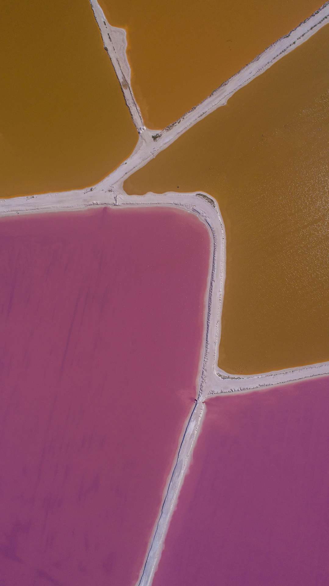 Pink lagoons Las Coloradas Yucatan Mexico Aerial View by drone Enrico Pescantini 3