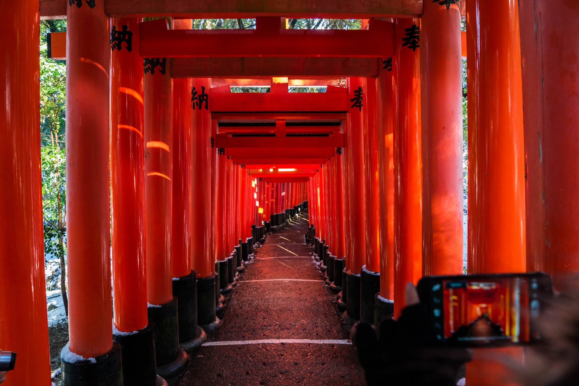 kyoto Fushimi Inari-Taisha