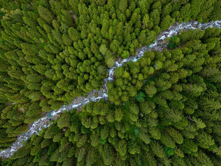 Val di Mello Italy Forest Drone