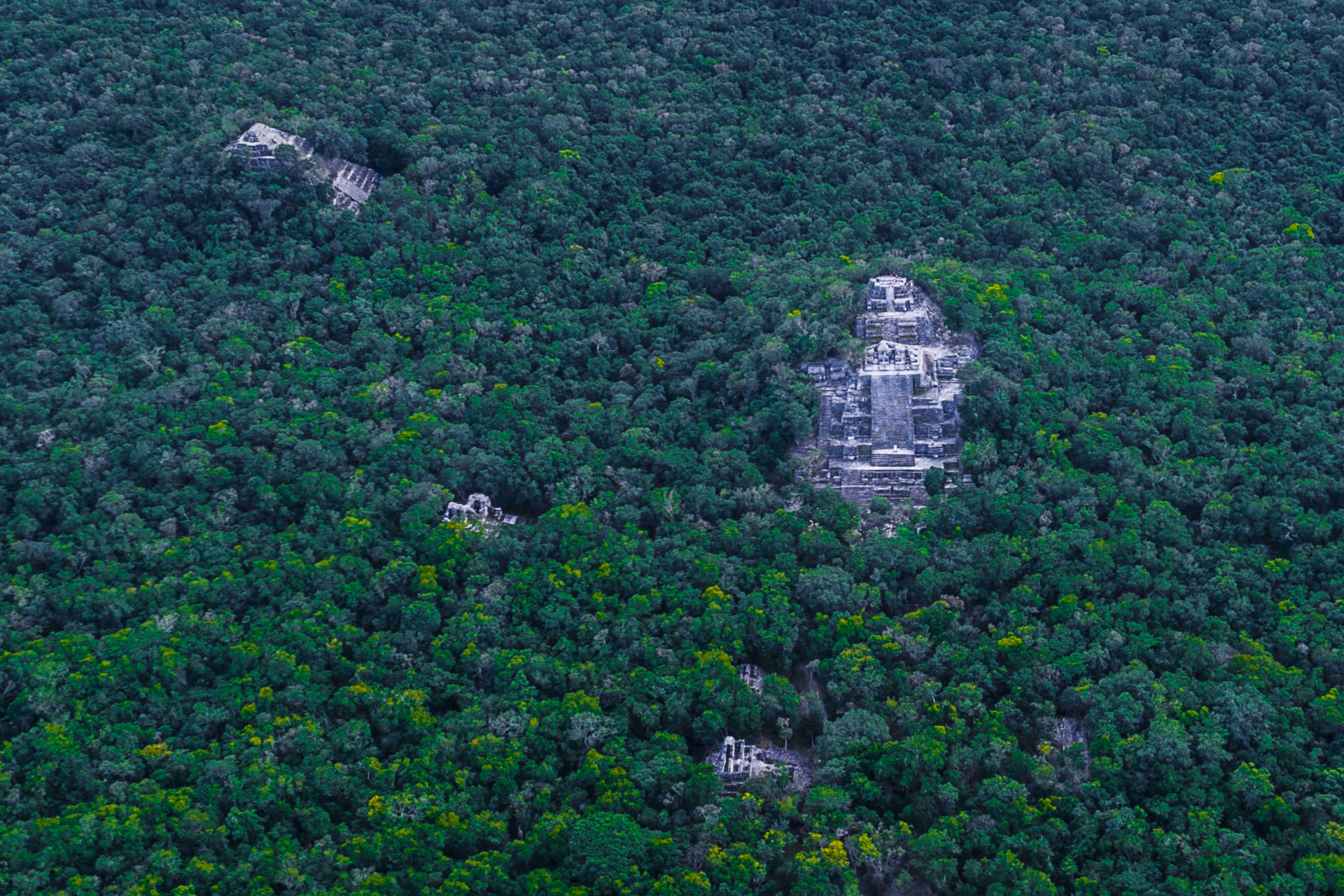 Calakmul Aerial view by drone Enrico Pescantini