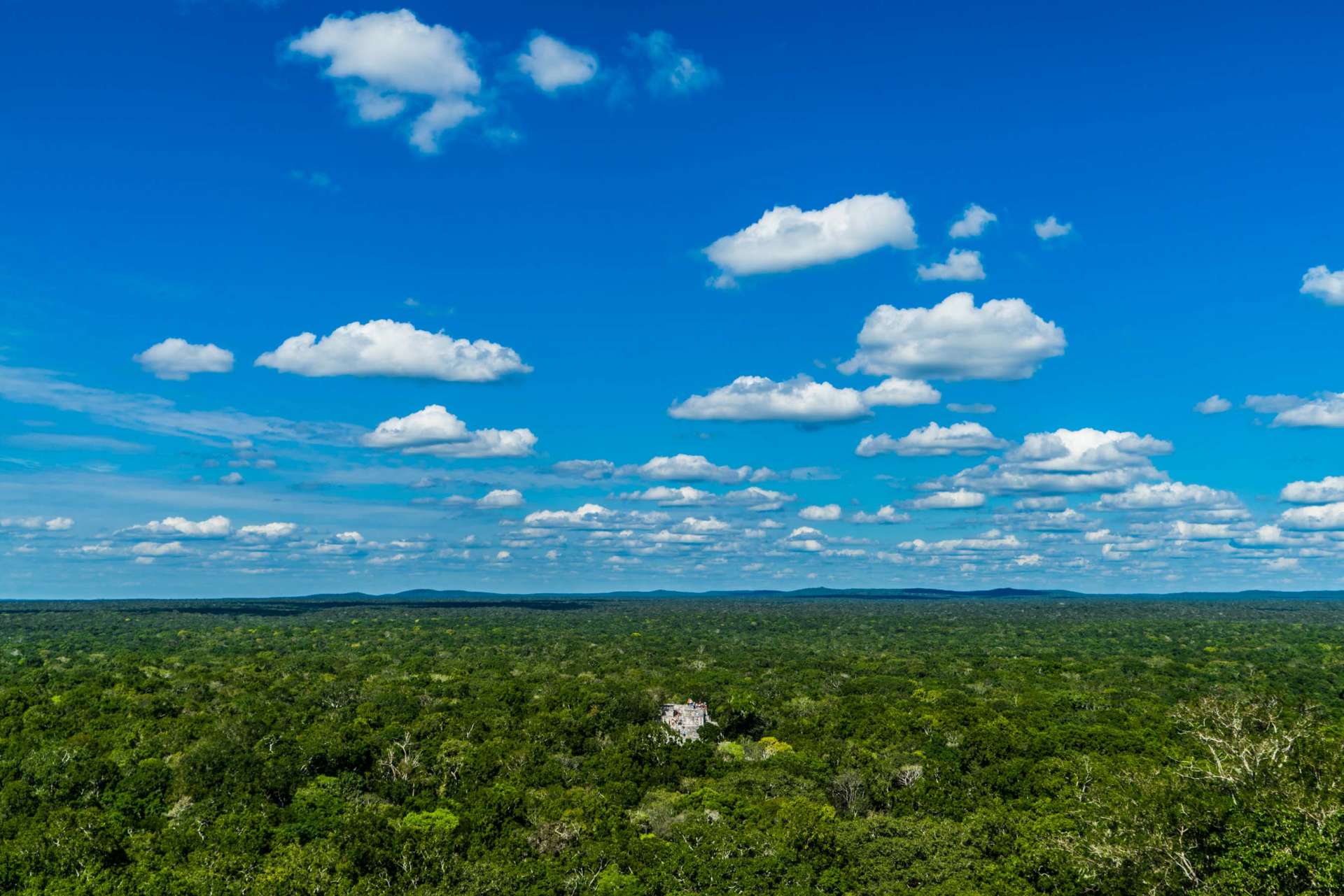 Calakmul Yucatan Mexico Enrico Pescantini 2