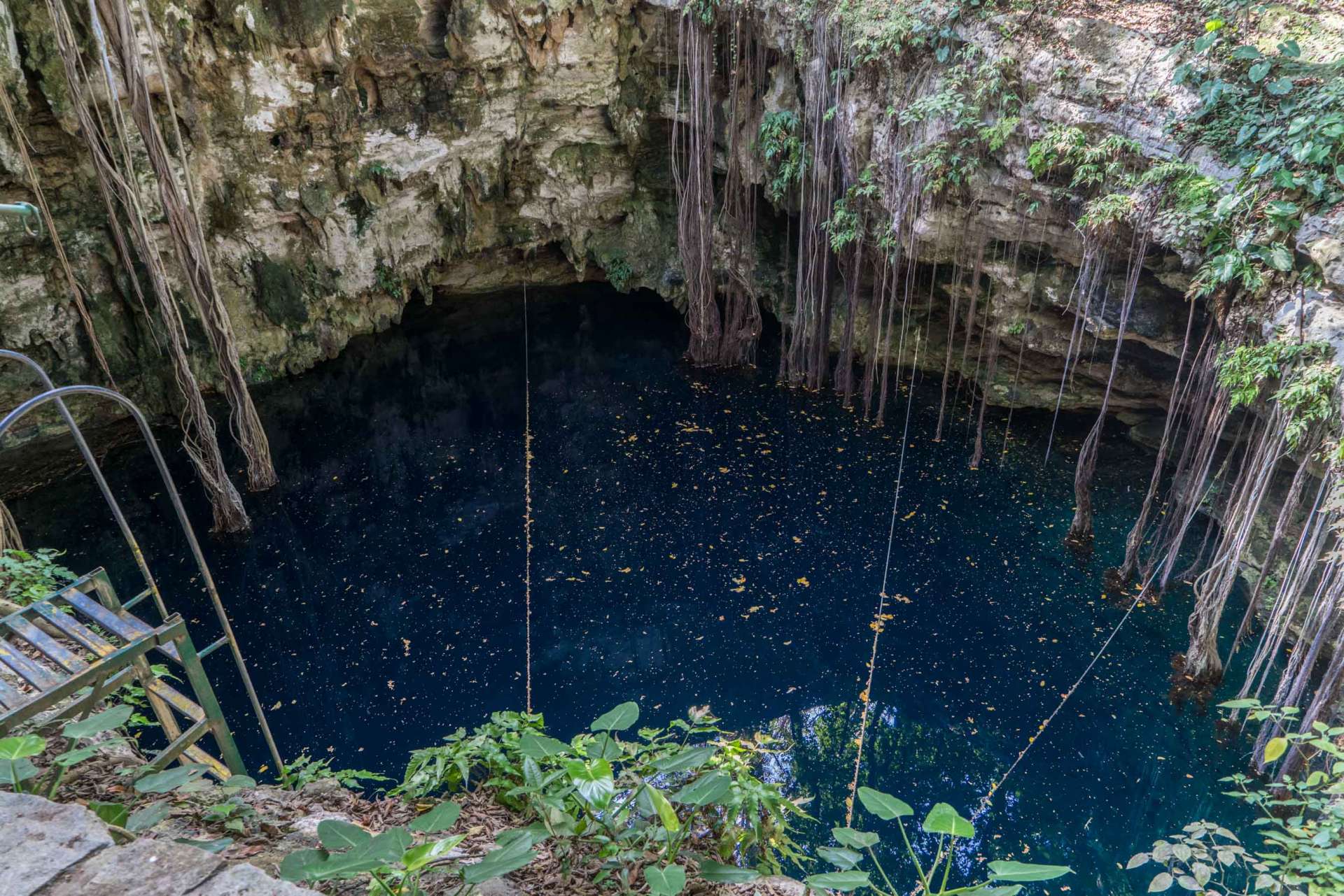 Cenote LOL-HA yucatan mexico