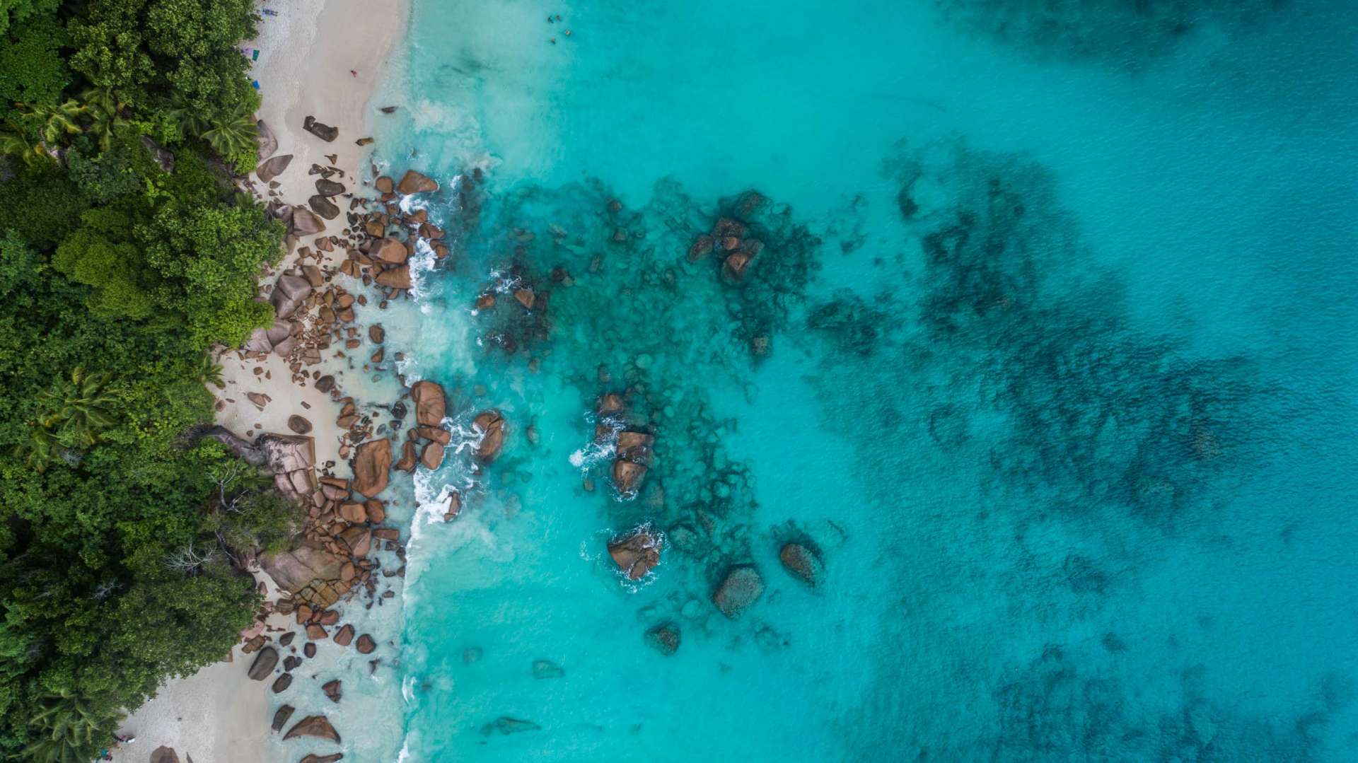 Seychelles Anse Lazio aerial view drone enrico pescantini from above