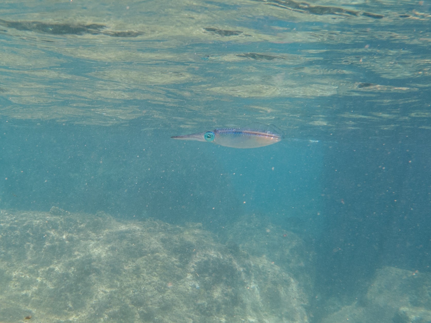 Anse Lazio Seychelles travel photography underwater snorkeling enrico pescantini.GPR.GPR