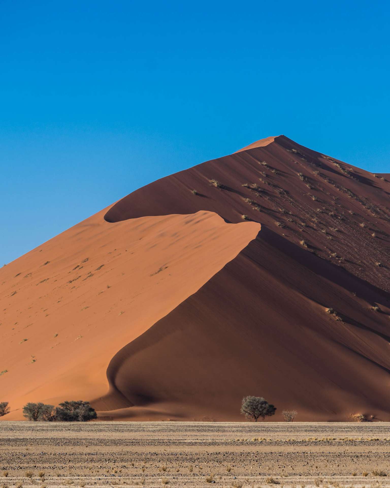 Namibia Enrico Pescantini Travel Photographer deadvlei soussuvlei namib desert dune 45