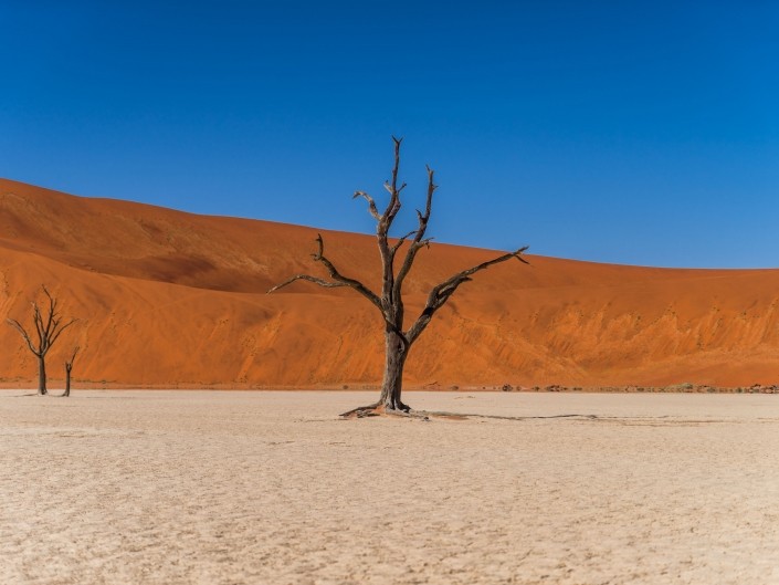 Namibia Enrico Pescantini Travel Photographer deadvlei soussuvlei namib desert
