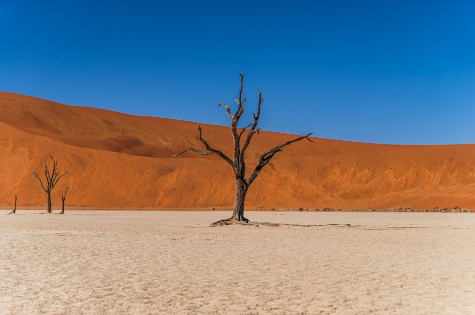 Namibia: a wonder of Wildlife and Nature