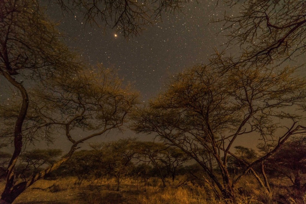 Namibia Enrico Pescantini Travel Photographer wildlife nature etosha sleeping in savannah