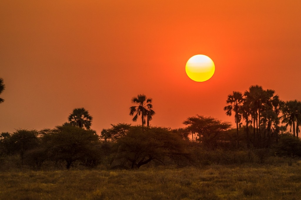 Namibia Enrico Pescantini Travel Photographer wildlife nature etosha sunset