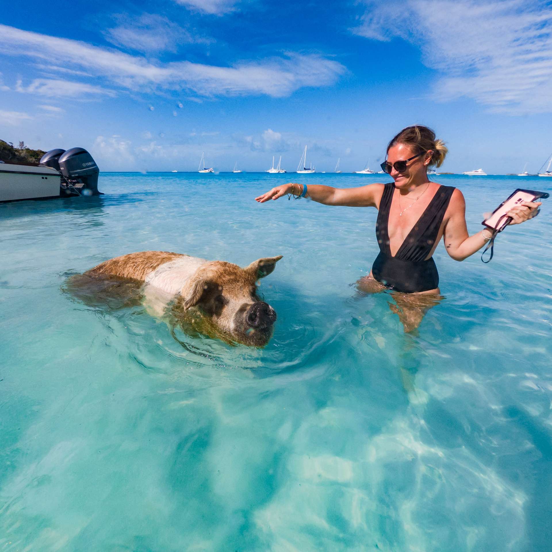 swimming with pigs beach exuma cays bahamas
