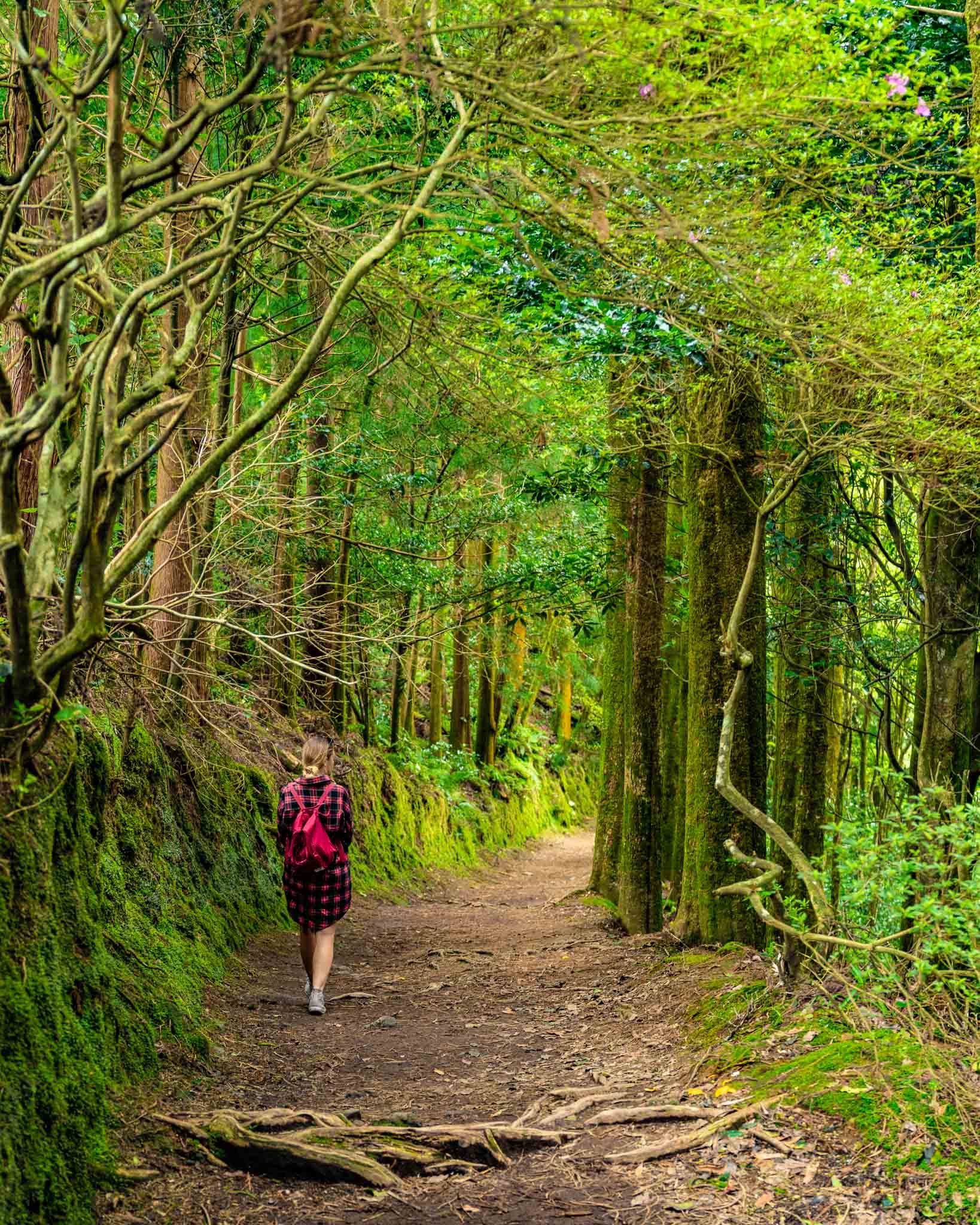Lagoa do Congro hiking sao miguel azores