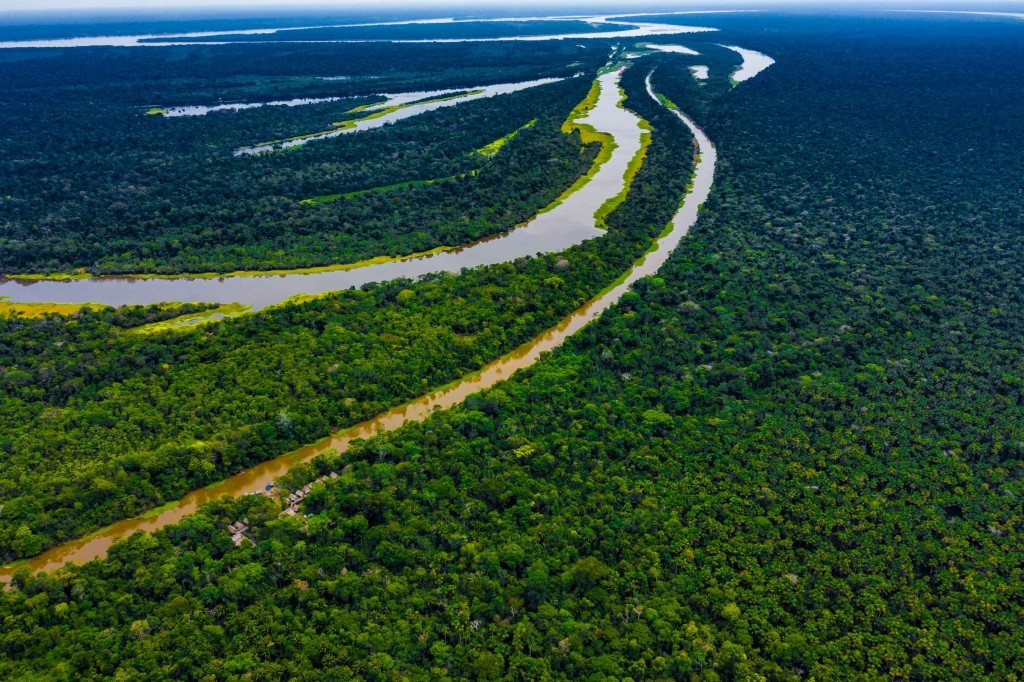 amazon forest iquitos peru drone aerial view
