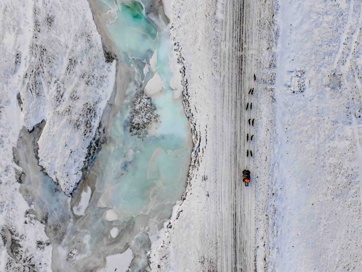 svalbard longyearbyen husky travellers dog sledding