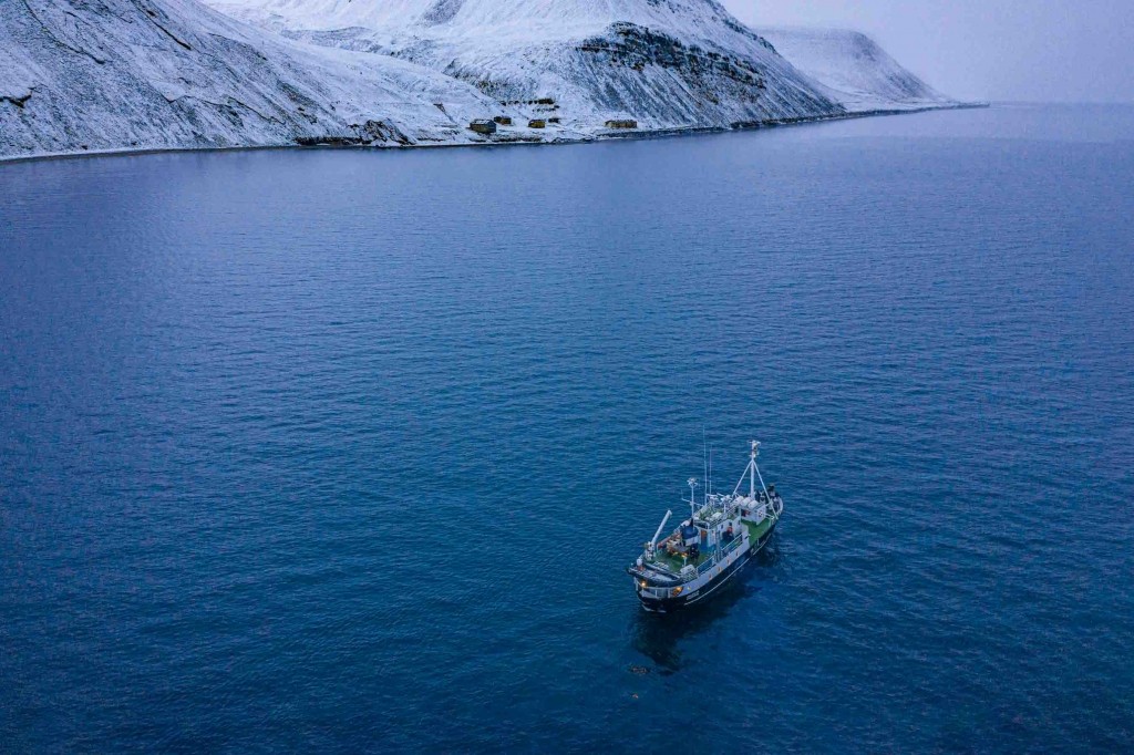 Northern light Cruise to Barentsburg svalbard