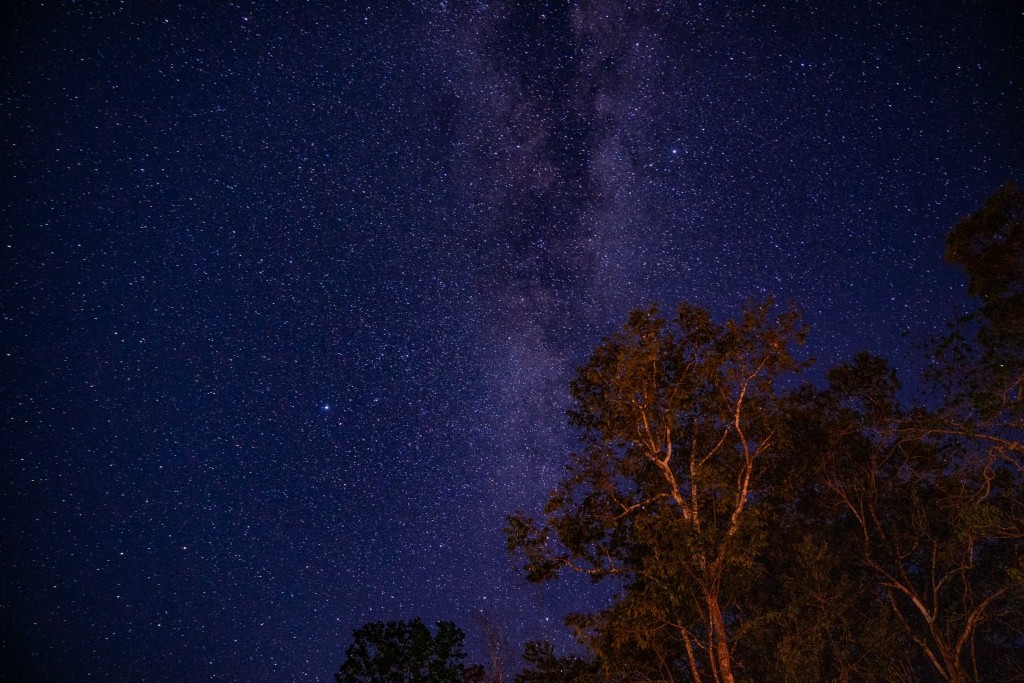 amazon forest river iquitos stargazing milky way