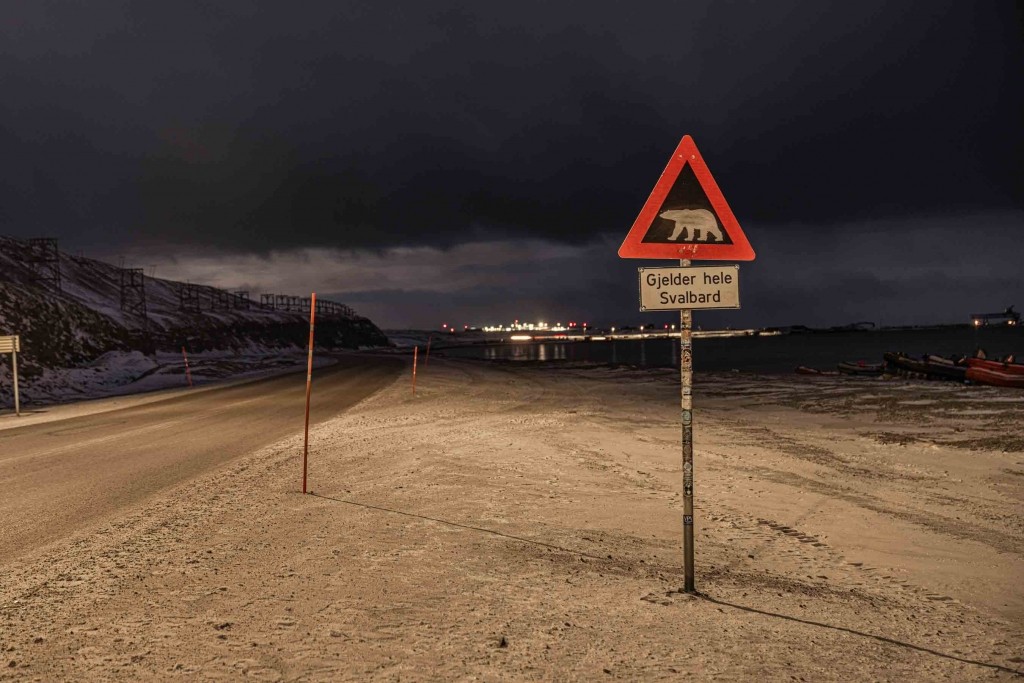 svalbard longyearbyen bear sign post