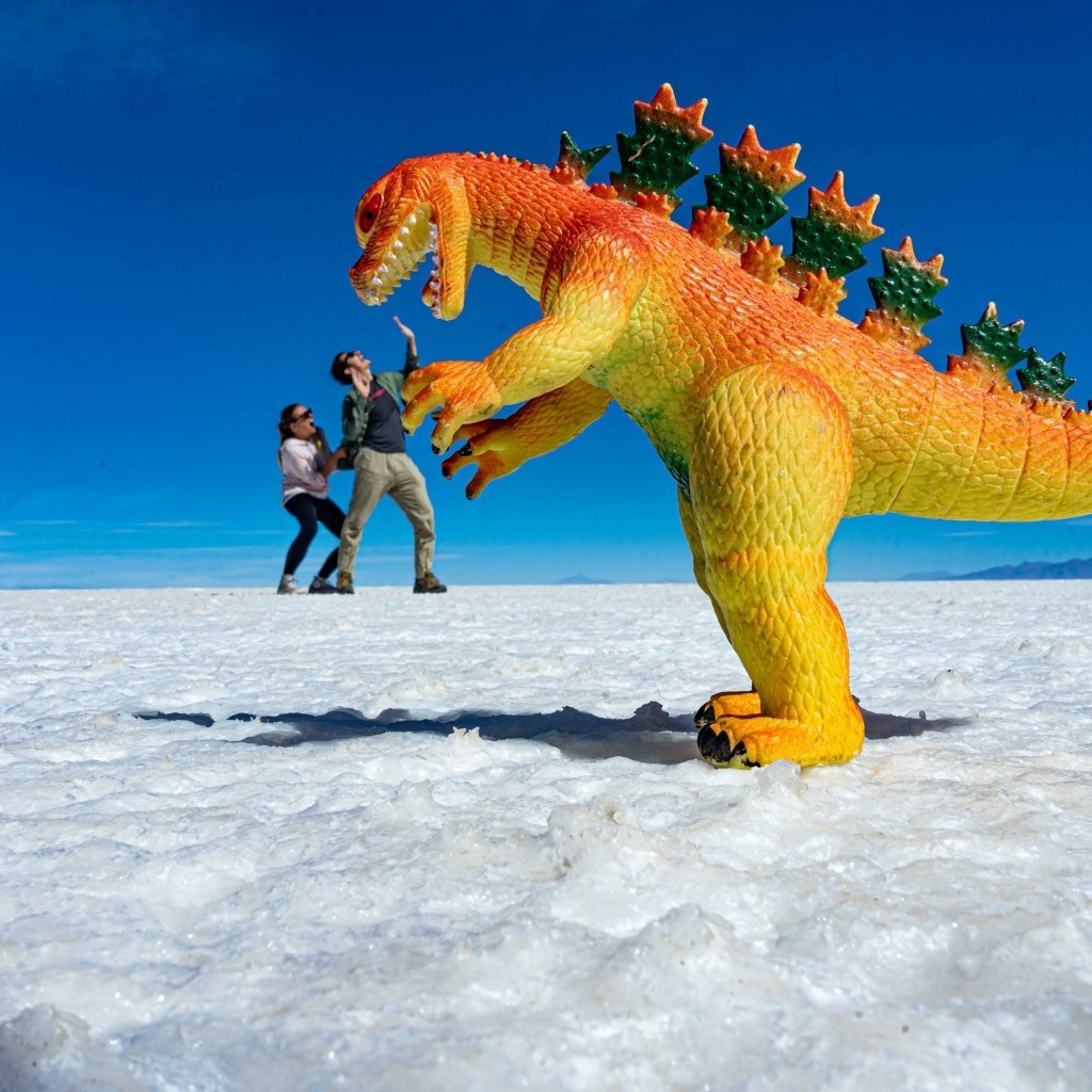 Salar de Uyuni Bolivia world largest salt flat funny photo