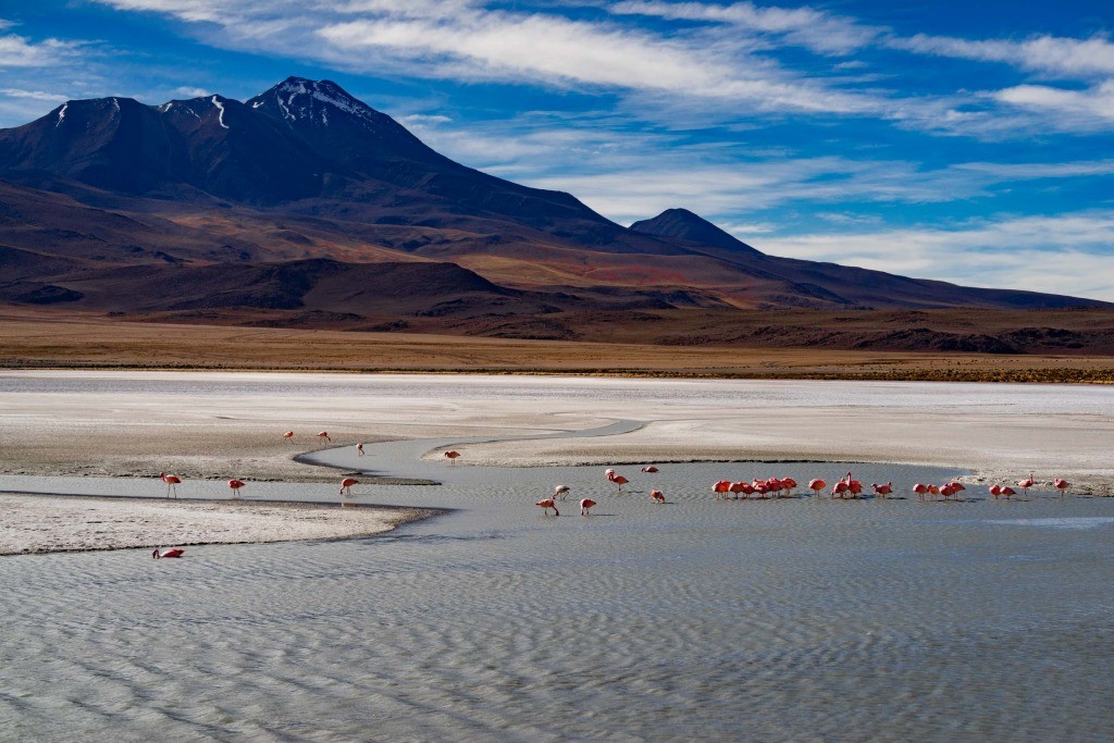 Laguna Colorada bolivia