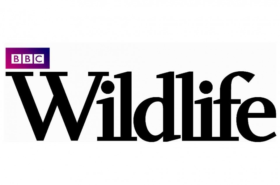 Pubblished on July 2020 BBC Wildlife Magazine