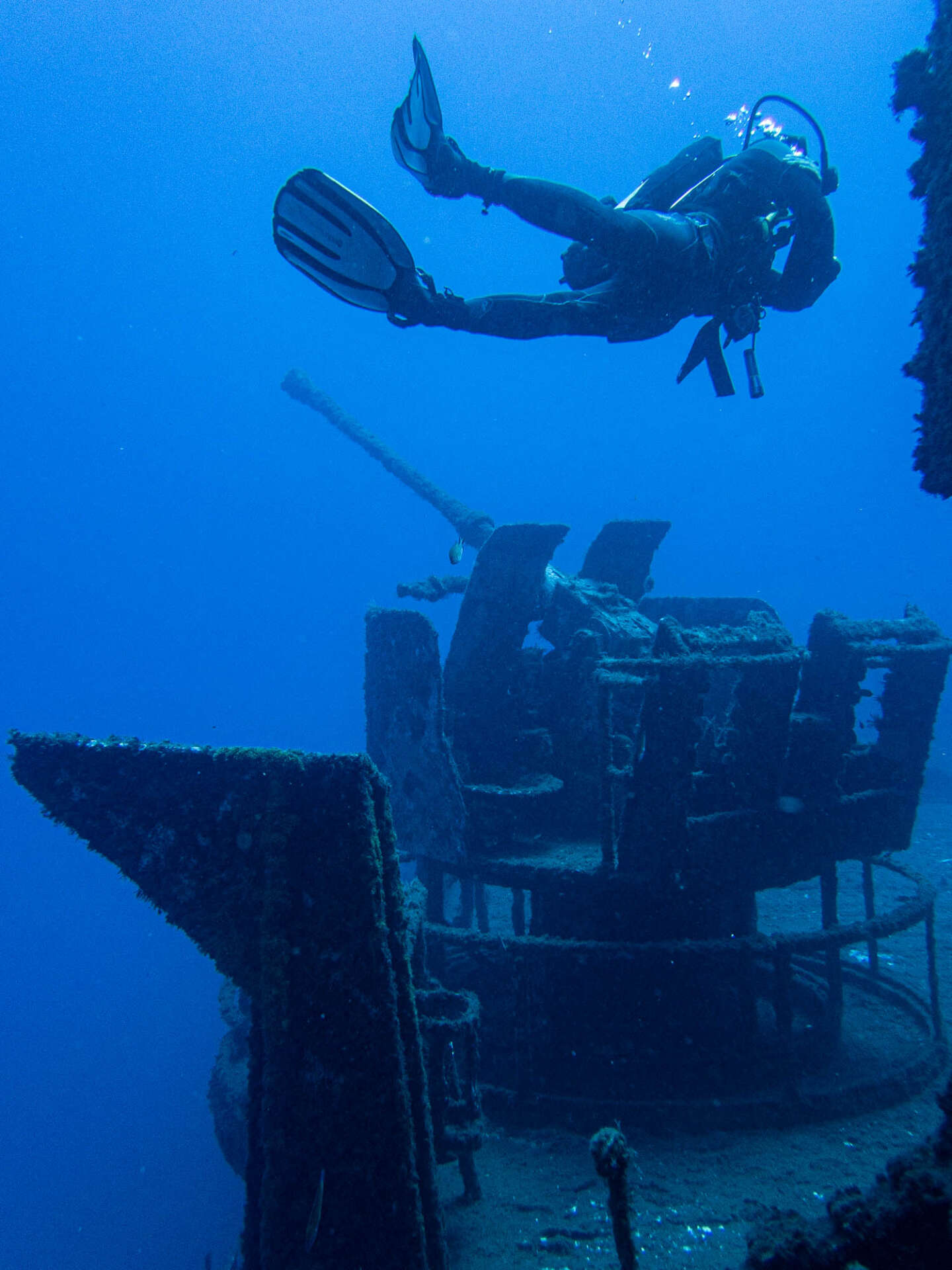 Ship wreck Corveta Afonso Cerqueira madeira scuba diving