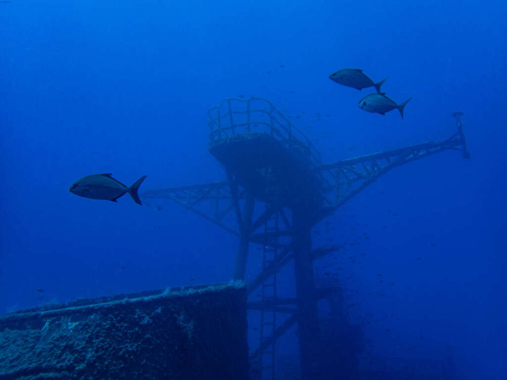 Ship wreck Corveta Afonso Cerqueira madeira scuba diving