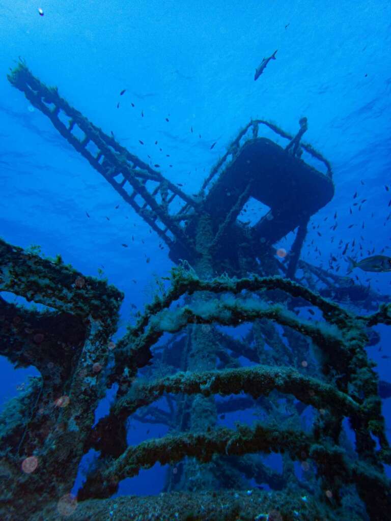 Ship wreck Corveta Afonso Cerqueira madeira scuba diving