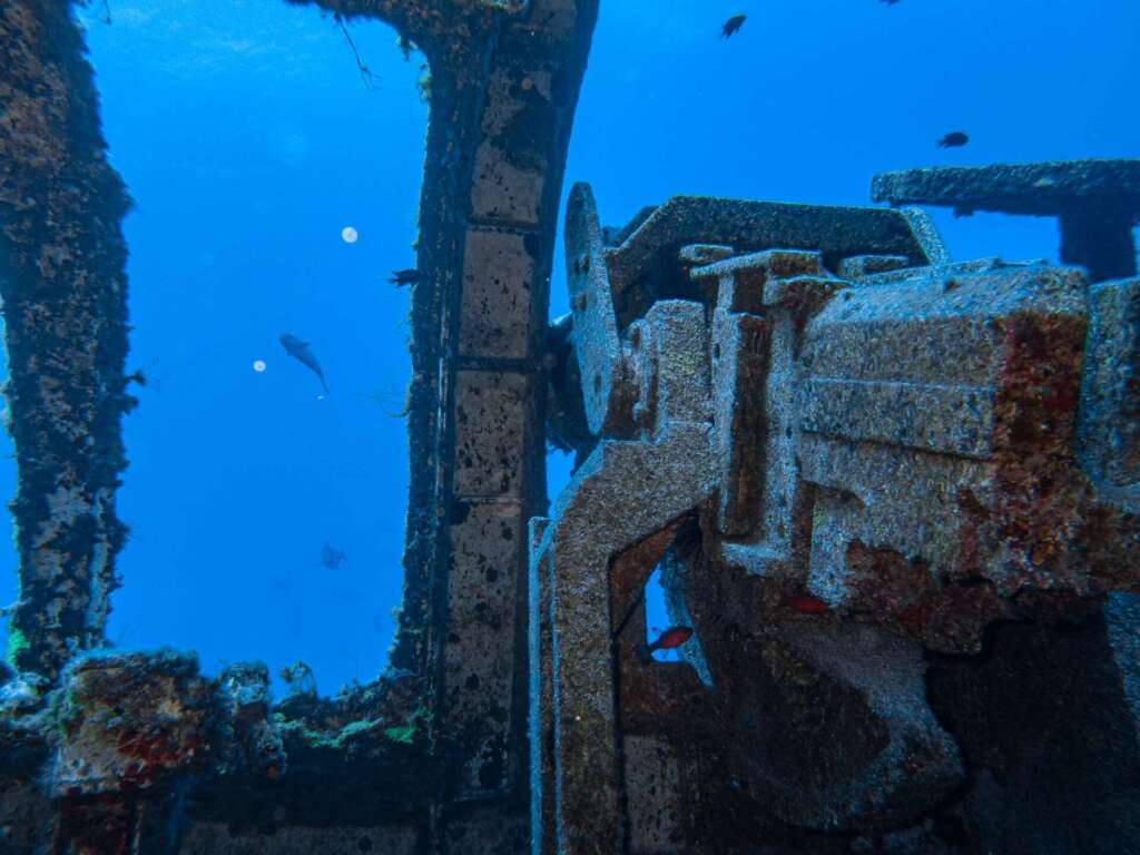 Corveta Pereira Wreck Porto Santo dive