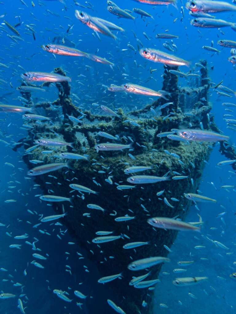 Corveta Pereira Wreck Porto Santo dive