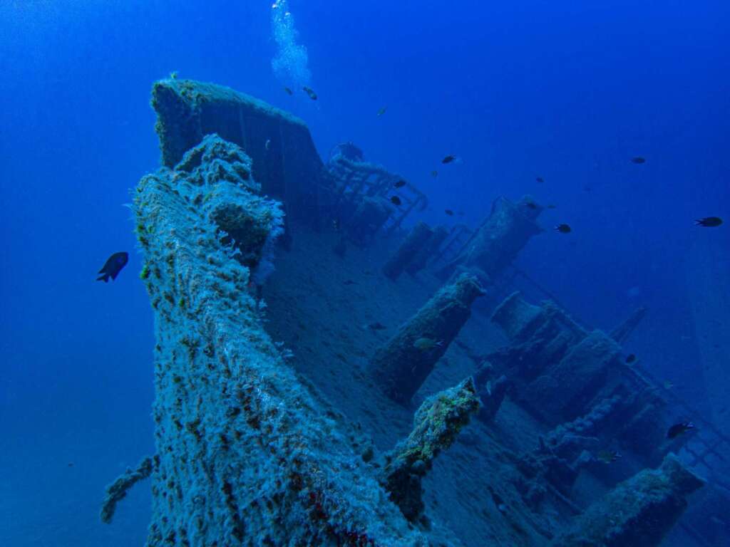 Ship Wreck of the Madeirense Porto Santo Madeira diving